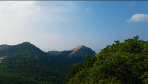 Tirumala Hills