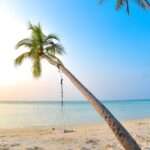 10 Best Beaches In Goa