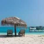 a couple of chairs kept in the shade of a natural beach umbrella at Lakshadweep